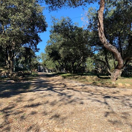 Les Terrasses Des Gardies Panzió Pignan Kültér fotó