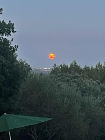 Les Terrasses Des Gardies Panzió Pignan Kültér fotó