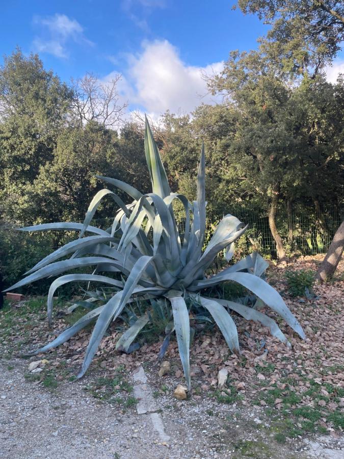 Les Terrasses Des Gardies Panzió Pignan Kültér fotó
